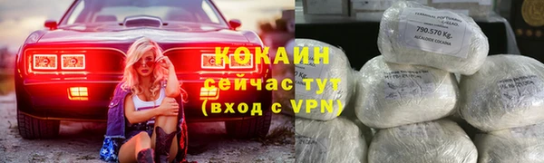 трава Бородино